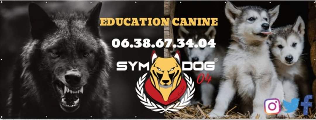 sym_dog_04's tweet photo. *** Réouverture des cours ;) ***
Symdog 04
Education canine
Cours individuels ou collectifs
Pension
Stages intensifs
Balades éducatives
#symdog #symdog04 #educateurcanin #castellane #chienagressif #educationcanine #alpesdehauteprovence #paca #symdoglife
#chienloup #chiens #Chien https://t.co/oOev29IW4k