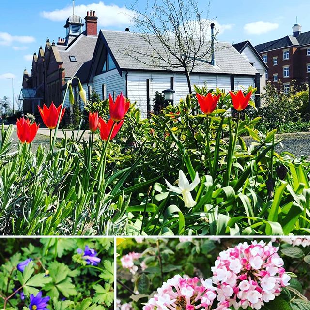 St Mary's Inn tweet media
