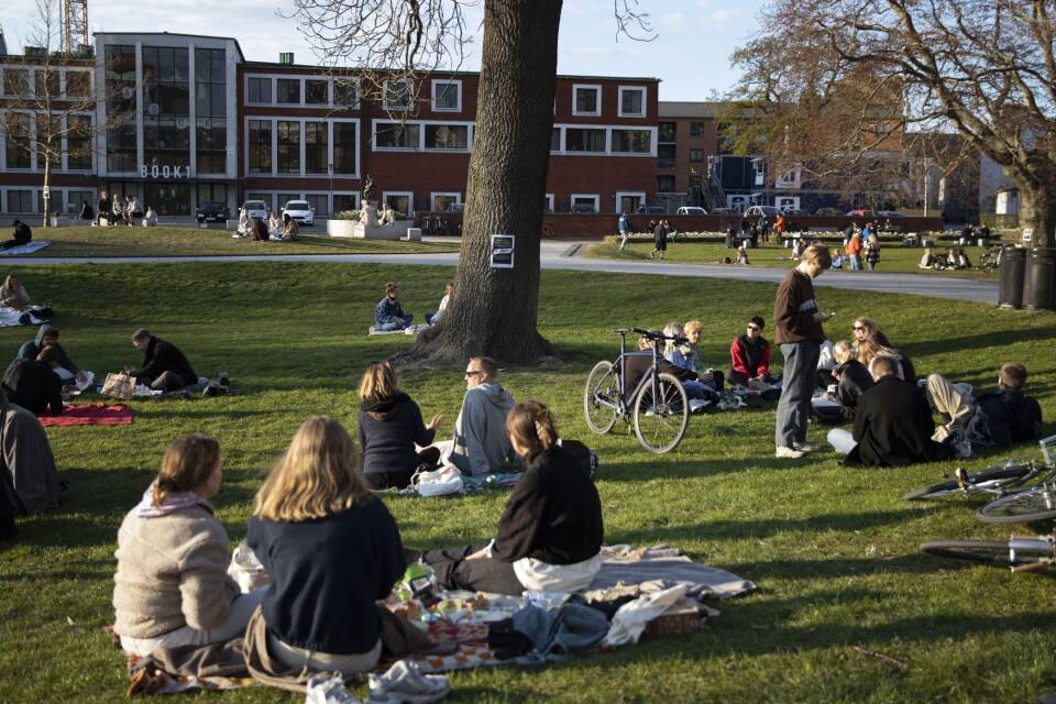 DR P4 Fyn tweet media