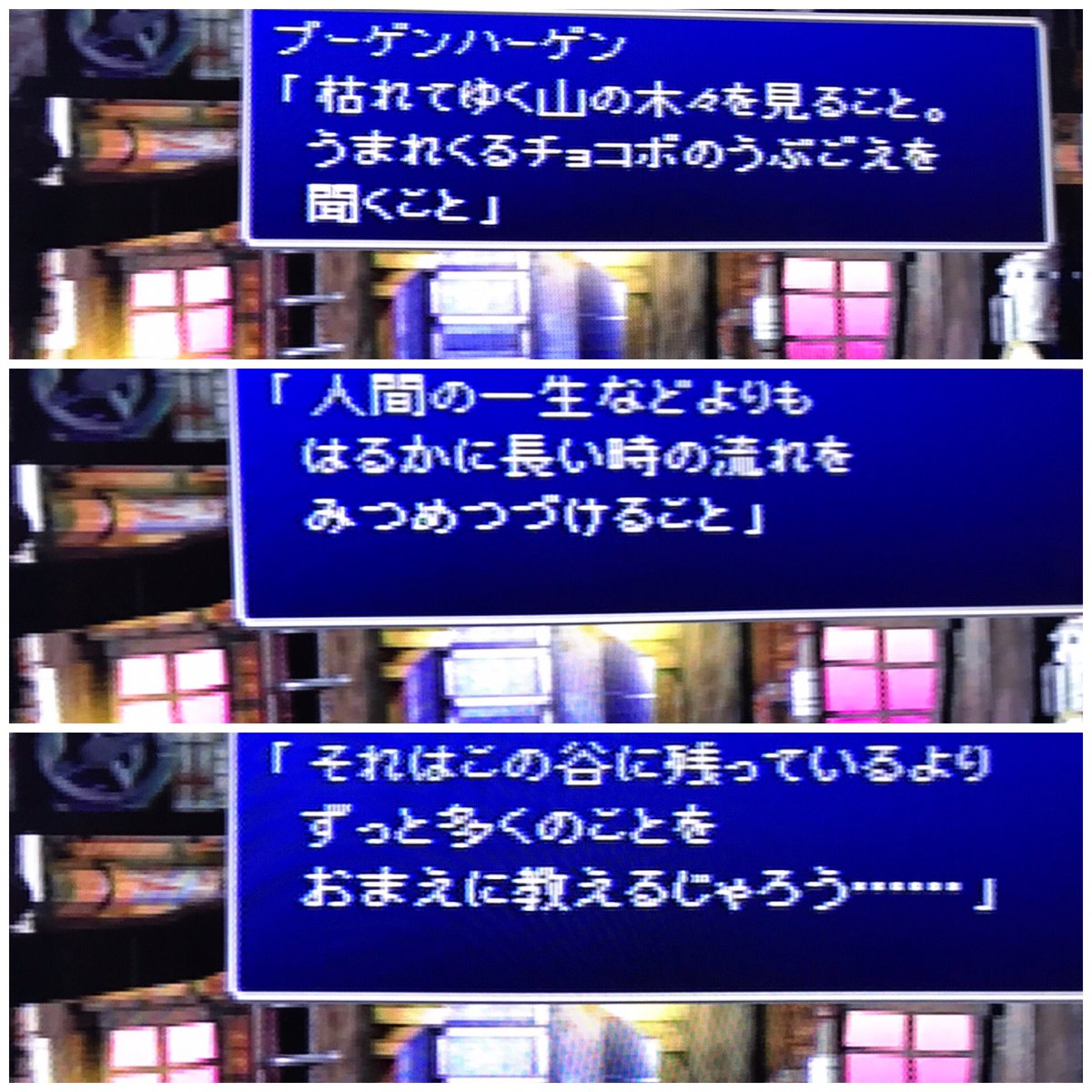 ブーゲンハーゲン