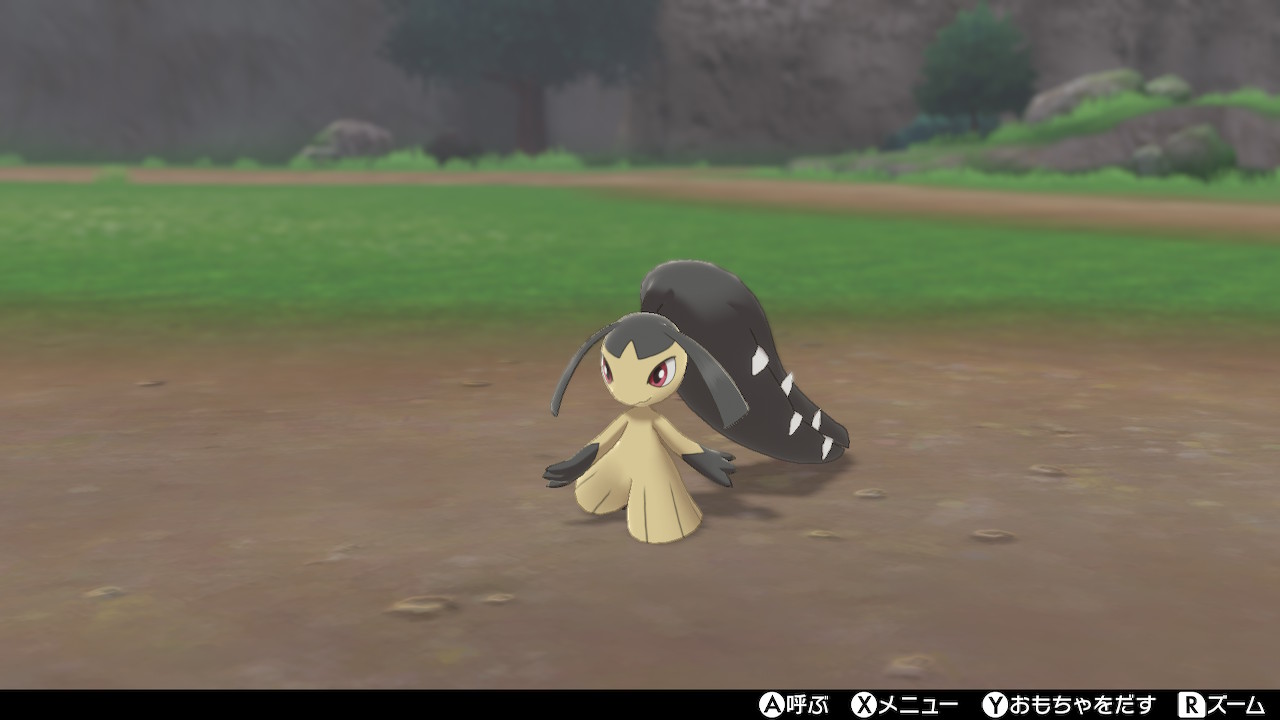 晴 ぬい撮り ポケモン剣盾 クチート達とキャンプ中 ポケモン剣盾 Nintendoswitch T Co 7khxohr8gw Twitter