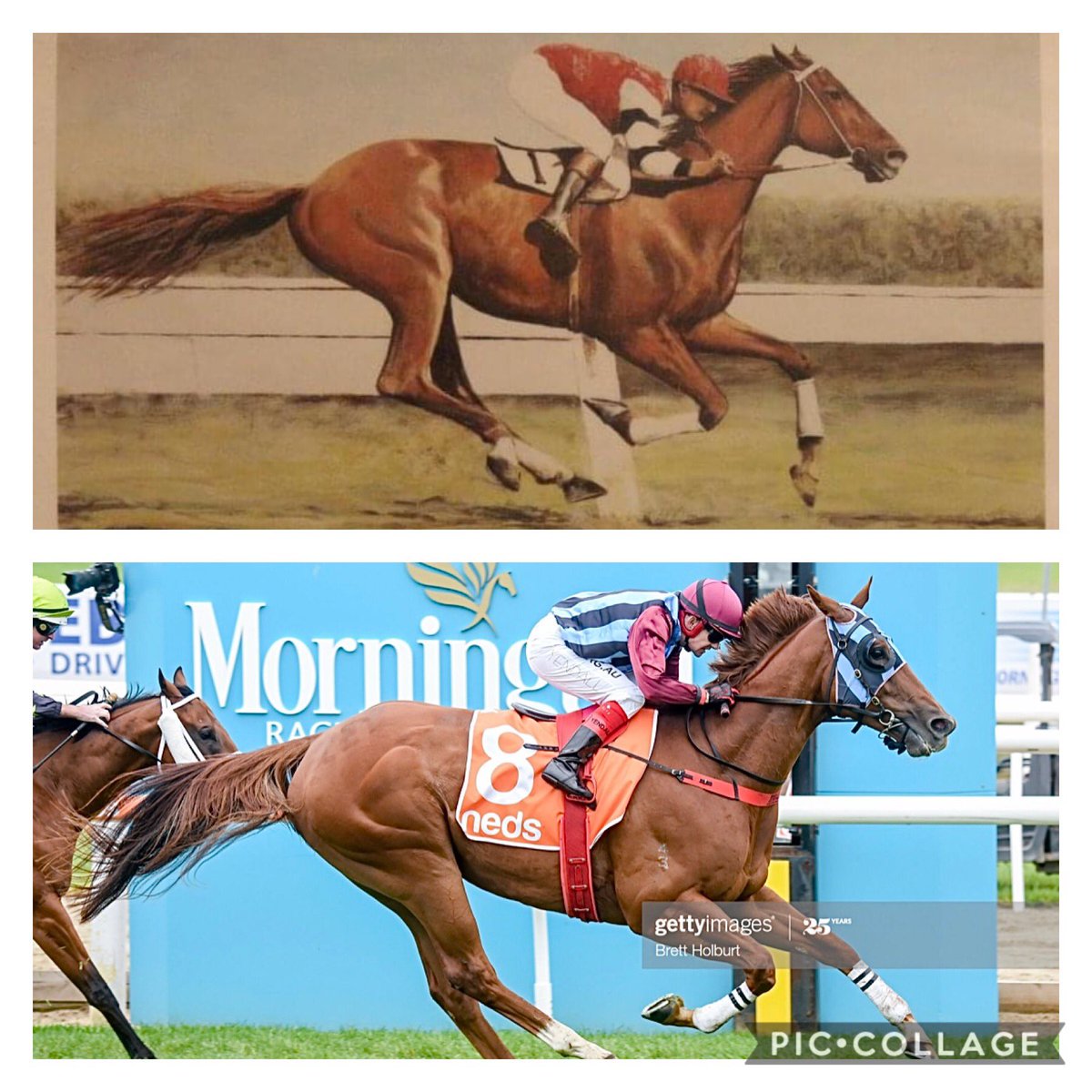BillAidonis's tweet photo. If anyone decides to make another  Phar Lap movie 🎥 again, at least we don’t have to look far for his double. @ajbloodstock @YargiRacing #ImTellingYa #Moviestar 🤗 https://t.co/H1mSEBMTTY