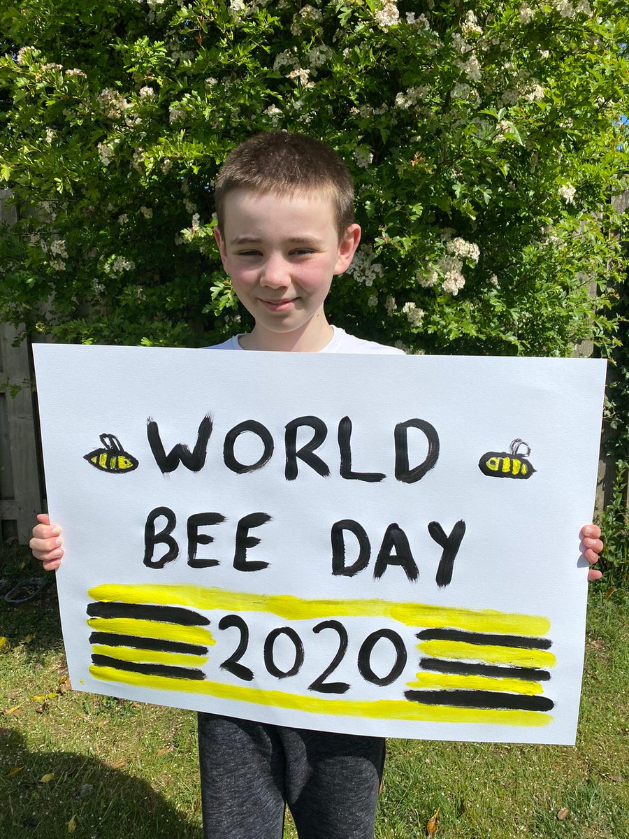 Our children are bonkers about ALL #bees &amp; understand that #honeybees make up a small part of an important global picture of #bumblebees &amp; #solitarybees Providing habitat, forage, not using #Pesticides are vital to their survival <a href="/BumblebeeTrust/">Bumblebee Conservation Trust</a> @SolitaryBeeWeek #WorldBeeDay2020