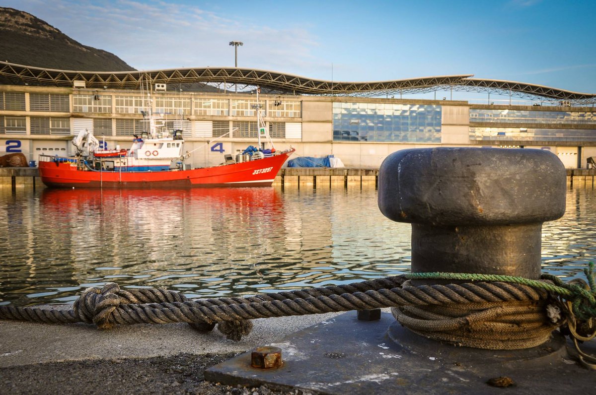 Nuevo Libe, a diferencia de otras conserveras de #Santoña, cuenta con barco propio el "Nuevo Libe" 🛳. En él, capturamos la pesca 🐟 más fresca del cantábrico para después transformarla de manera tradicional, en conservas. De nuestro barco a tu mesa.
🛒 nuevolibe.com/tienda/