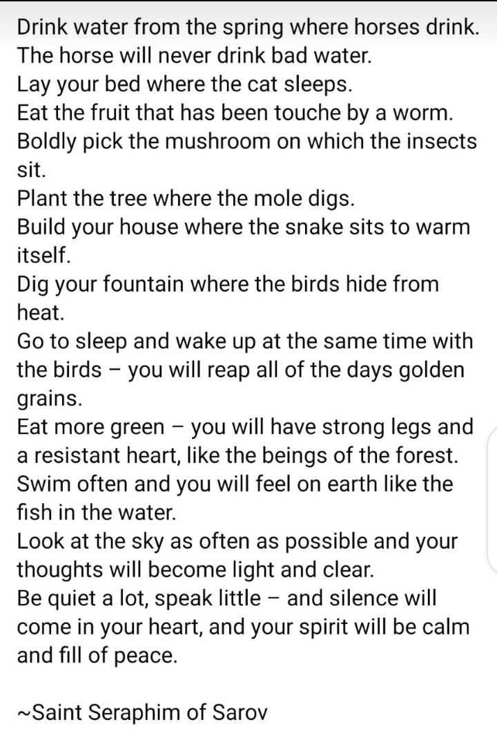 OnlyPositiveWin's tweet photo. Must Read 
By: Saint Seraphim of Sarov 

#Motivation #Calmness #simplicity #inspiration #RamadanMubarak 
#care #love #Peace https://t.co/z4oGos2P2r