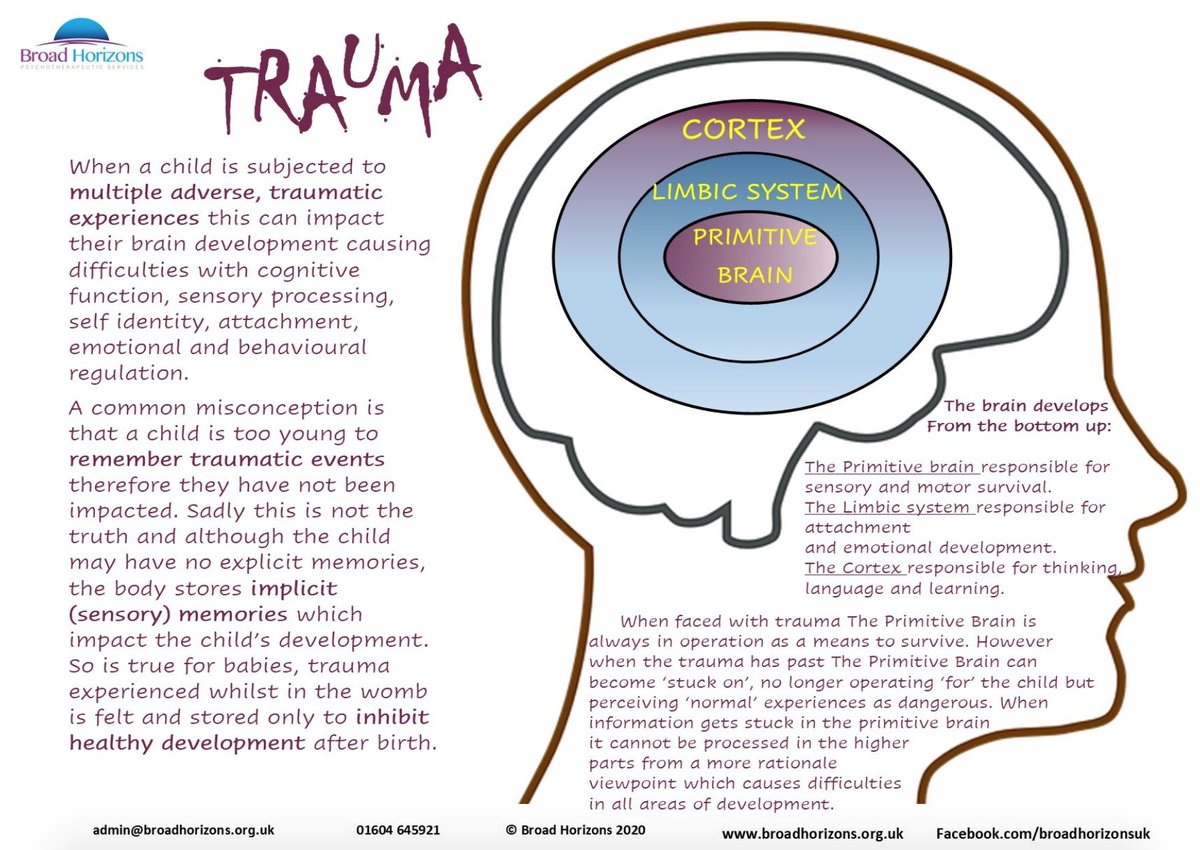 horizons_broad's tweet photo. Do check out our website - we've been writing some blog posts and creating some lovely resources. Here's our latest one on trauma! https://t.co/SNyxMB43on https://t.co/xi3OEwoRGf
