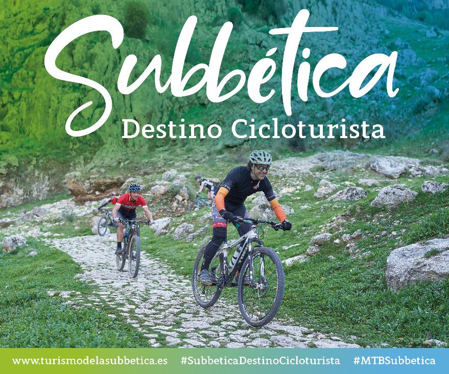 Casa Olea tweet media