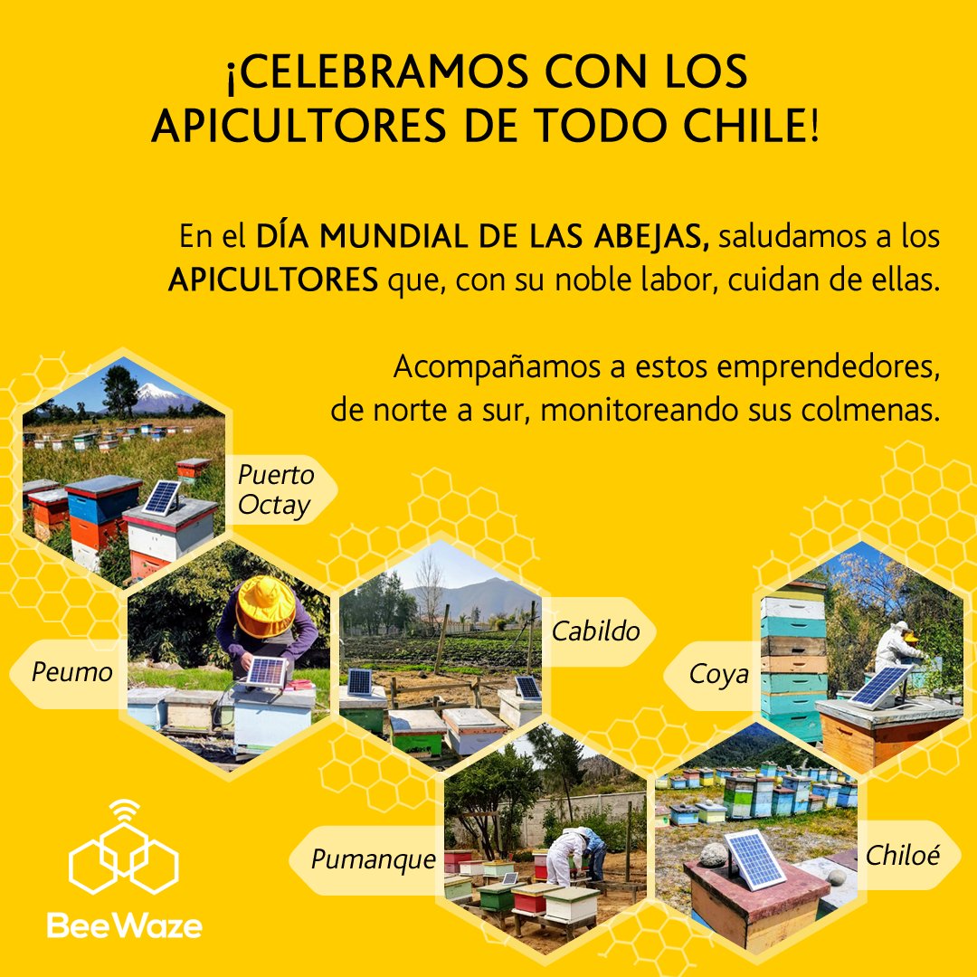 Hoy celebramos junto a #apicultores de todo Chile el  #DiaMundialDeLasAbejas. Ellos, mejor que nadie, conocen la relevancia de estos pequeños seres para el presente y el futuro del planeta. 
#abejas #miel #apicultura #BeeWaze #futuro #planeta