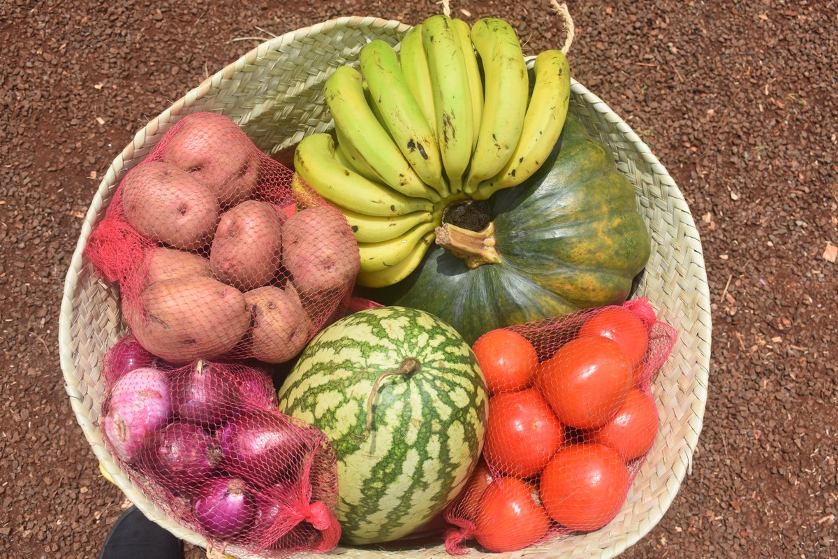 MazaoSafi's tweet photo. We are bringing fresh produce to the table! Add some creativity &amp; convenience to your grocery shopping routine by doing it online. 

Shop Here  https://t.co/Wsgu5ter5m https://t.co/WmJsGoMdUg