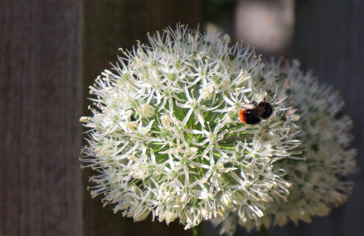 Introducing....the biologists here at Queen's.