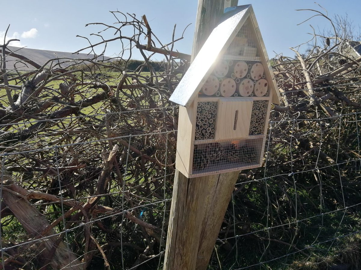 PortmageeWhisky's tweet photo. Happy World Bee Day! Here's one of our Bee hotels on Barrack Hill, one of many Pollinator initiatives we are implementing through out our development #WorldBeeDay @OriginGreen @PollinatorPlan https://t.co/m3bK6xEi85