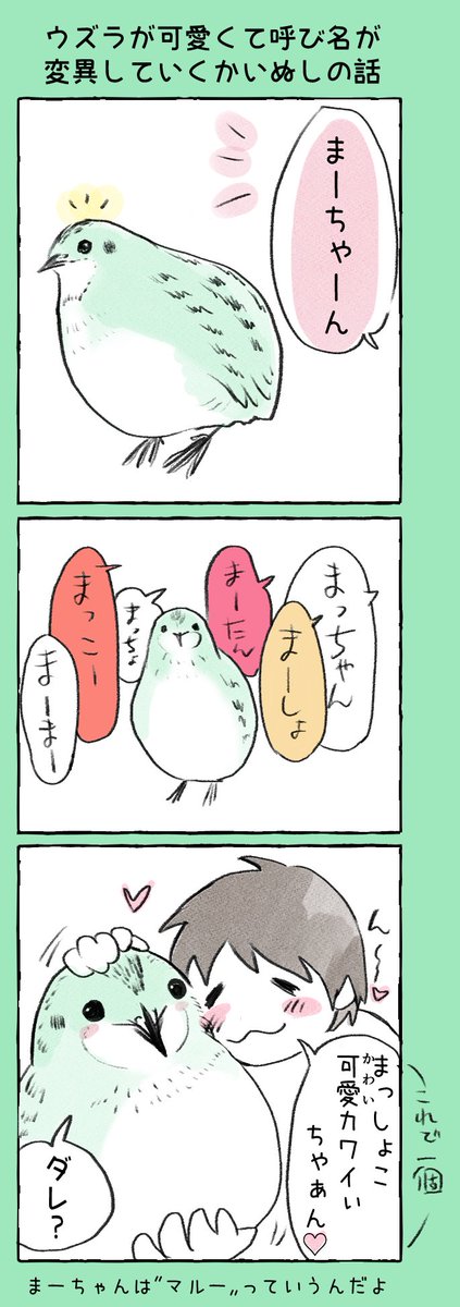 愛鶉まなうずらのtwitterイラスト検索結果