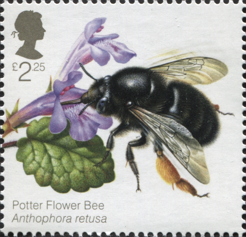 UPU_UN's tweet photo. Today is #WorldBeeDay! Find out more: https://t.co/9FXXtHvwkV These #stamps were issued by @RoyalMail in 2015. #FoodHeroes #philately @BumblebeeTrust @FAO @FAODG @RoyalMailStamps @The_RPSL https://t.co/Jt8nobjdtS