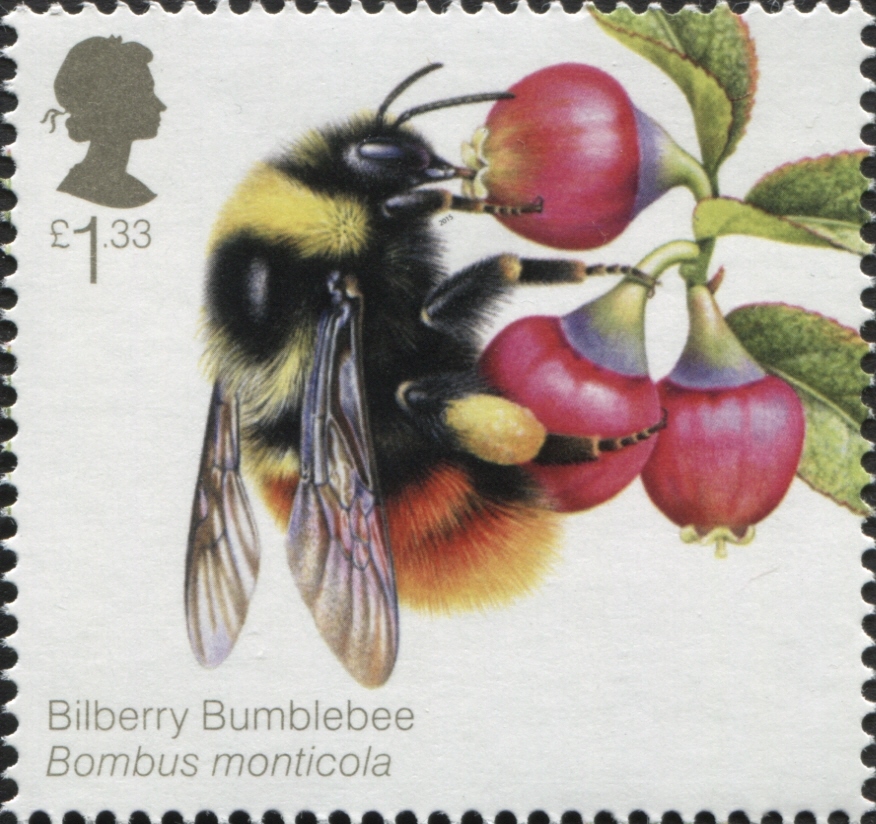 UPU_UN's tweet photo. Today is #WorldBeeDay! Find out more: https://t.co/9FXXtHvwkV These #stamps were issued by @RoyalMail in 2015. #FoodHeroes #philately @BumblebeeTrust @FAO @FAODG @RoyalMailStamps @The_RPSL https://t.co/Jt8nobjdtS