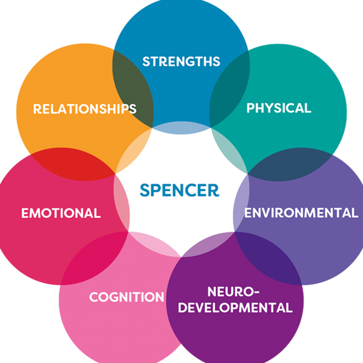 Spencer3D tweet media