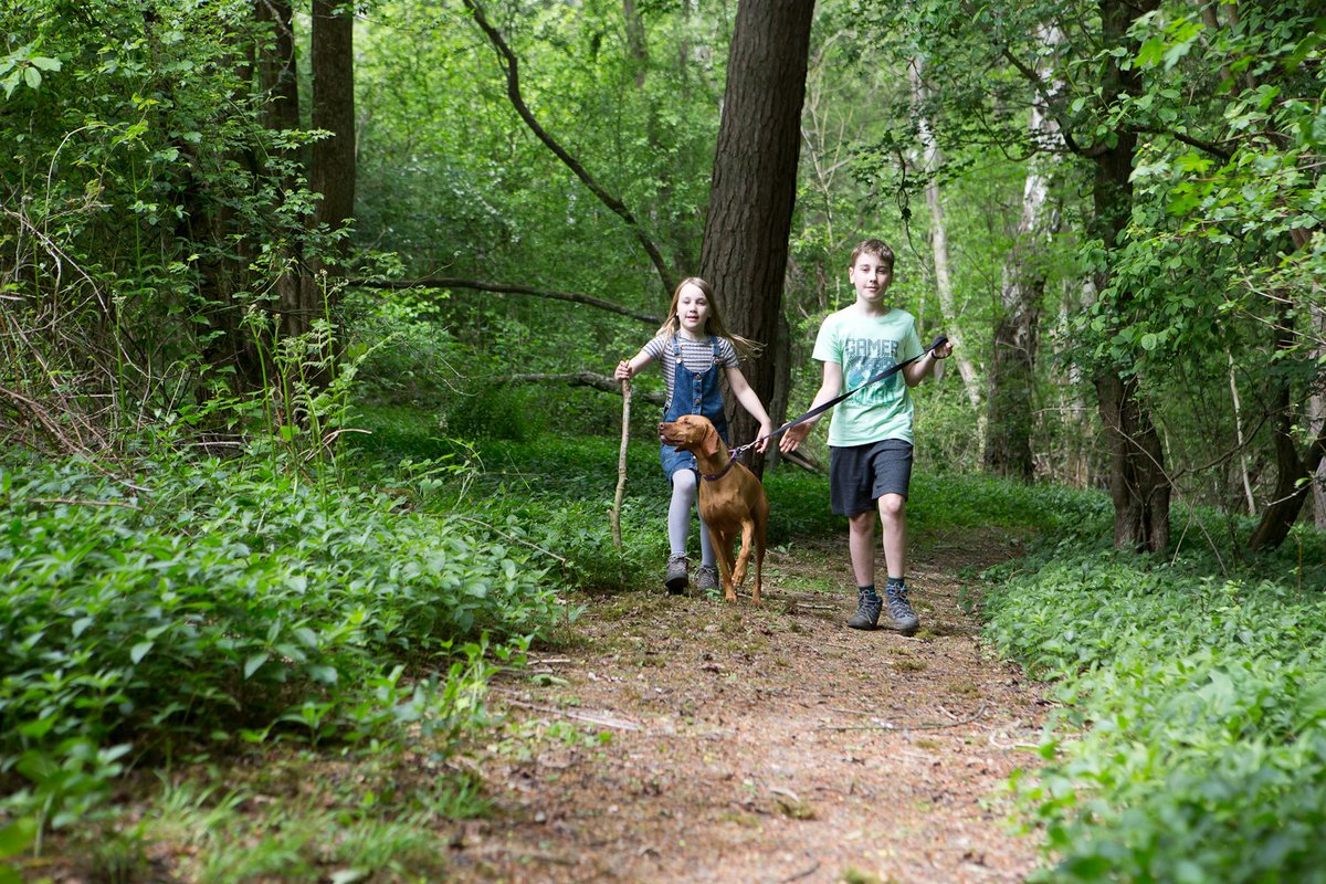 ChilternOAM's tweet image. It's #MentalHealthAwarenessWeek and one of the things that's great for your mental health is going out for a walk. Fresh air and nature can do wonderful things.