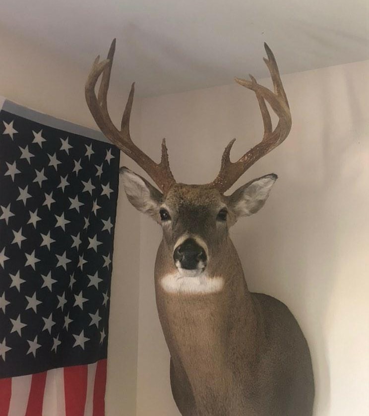 BucksMuck's tweet photo. @jd_hunts with his 2019 Missouri buck on the wall! Turned out great! Thanks @BucksMuck! https://t.co/vPT4226sT4