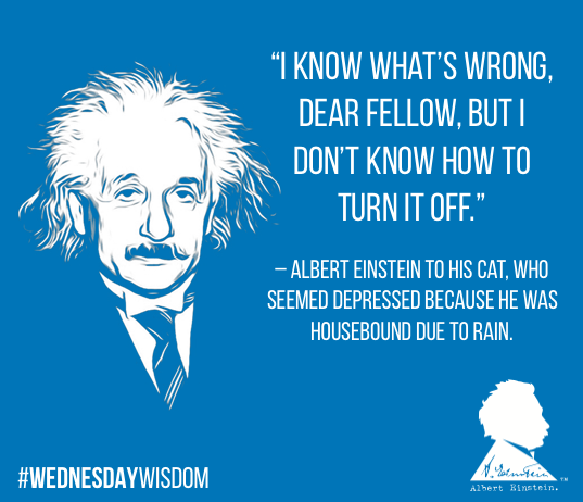 AlbertEinstein's tweet photo. #WednesdayWisdom: “I know what’s wrong, dear fellow, but I don’t know how to turn it off.” – Albert Einstein to his cat, who seemed depressed because he was housebound due to rain. 🐈 https://t.co/N124n3tQJ1