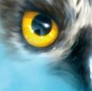 holycrosschorl's tweet photo. A little clue of what's to come for Year 6... Have you any idea what this image could be? #WelcomeToHolyCross
@SHCPChorley @StChadsChorley @stgregorys_news @stjosephs_rc @josephswithnell @Chorleystmarys
St Bede's & St Oswald's https://t.co/Q5a4XFd6o7