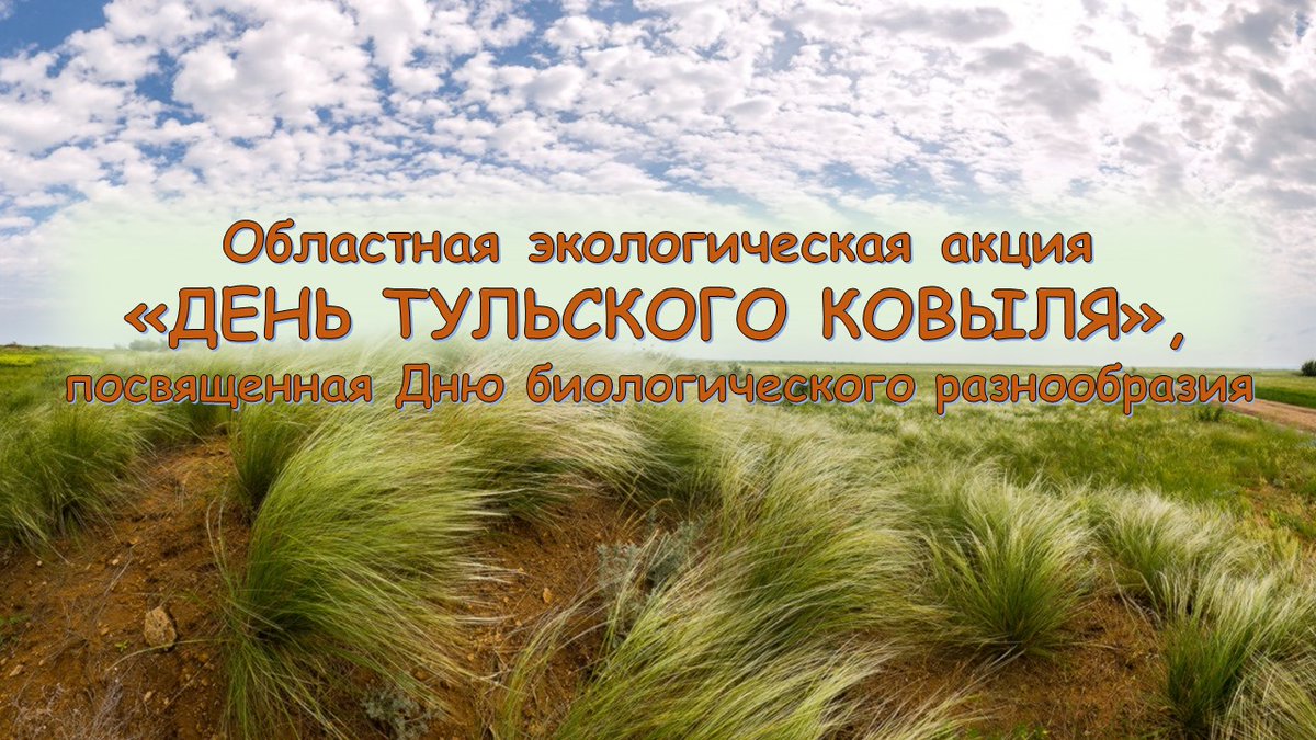 ekotula.ucoz.ru/index/den_tuls…

vk.com/technoparktula