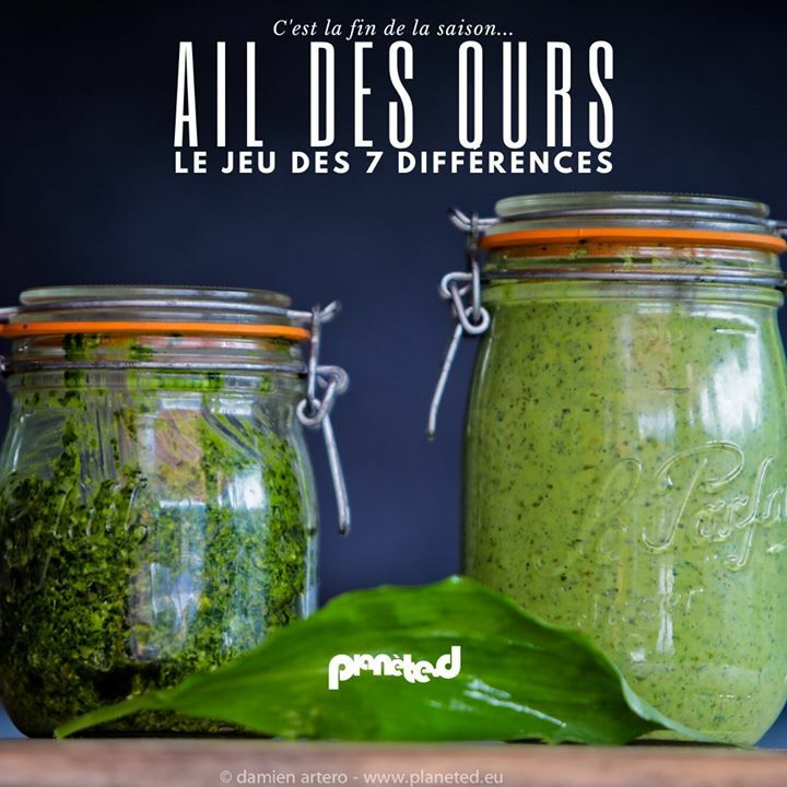planete_d's tweet photo. #CRUSINE &amp; #CUEILLETTE
Saurez-vous reconnaître ces deux recettes que j'affectionne particulièrement ? Indice : elles sont à base de mon ami l'#ail des ours... ▶️ https://t.co/qjjHgf30oe 💚

RECETTE #1
Pesto : mixer brièvement des feuilles d'ail des ours … https://t.co/YpMMsZXhIb https://t.co/cwWIW18Nui