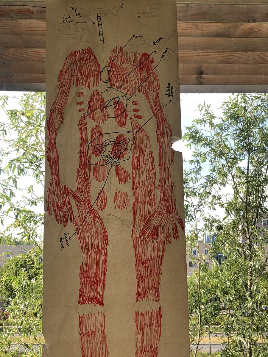 MHeijster's tweet photo. De thuiswerkopdrachten hangen in de klas van groep 6. #kcza #kindercampuszuidas #groep6 #thuis #opschool #thema https://t.co/vVg9f4c3pV