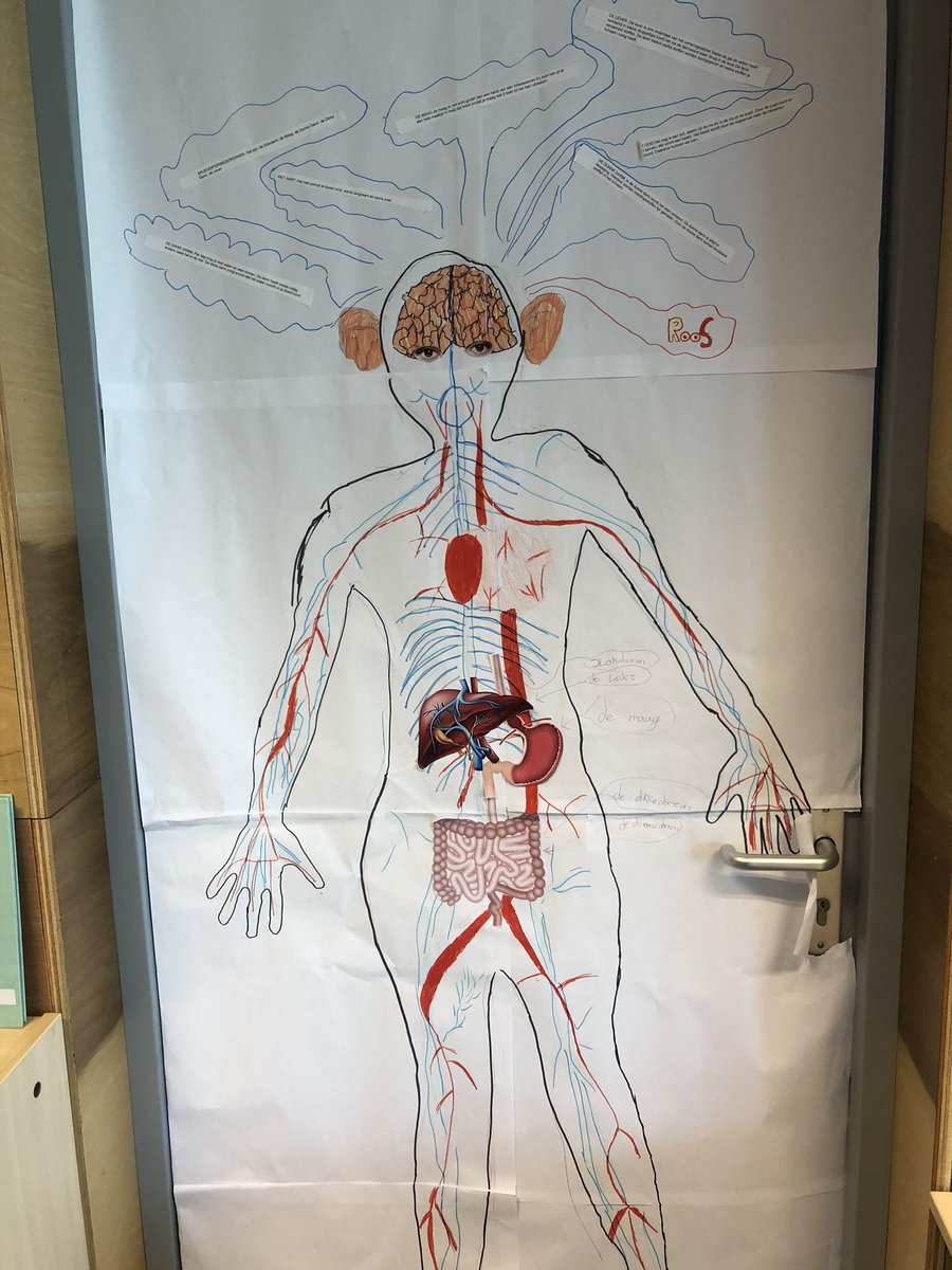 MHeijster's tweet photo. De thuiswerkopdrachten hangen in de klas van groep 6. #kcza #kindercampuszuidas #groep6 #thuis #opschool #thema https://t.co/vVg9f4c3pV