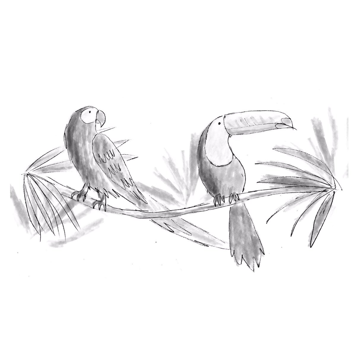 ThisIsPip's tweet photo. Down my #eBook the Winged Things and fly away to a magical place called Jagged Tooth Island and cold foggy Bleak Harbour. Get it here 👉🏼 https://t.co/e3d8ySwmDu 10% goes to #RSPB

#kidlit  #ecofiction #middlegradebooks #nature #wildlife #birdbooks #illustration #toucan #macaw https://t.co/G4ncaZGZQA