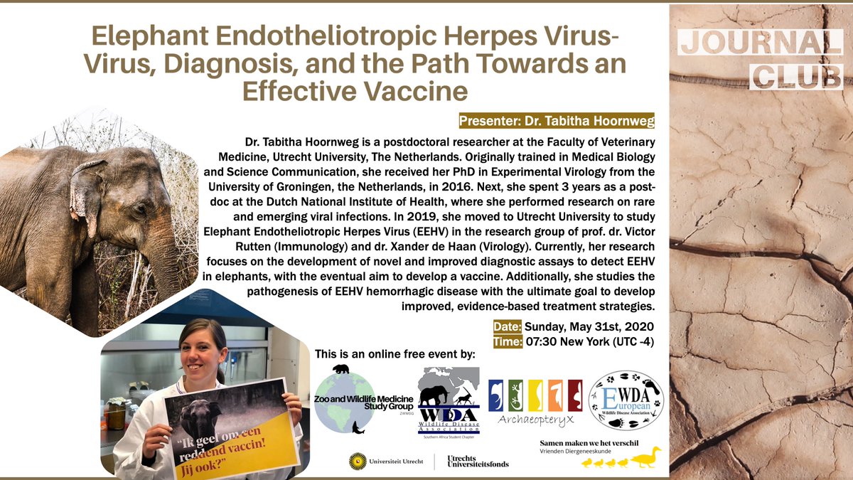 📣🐾 Despite the worldwide health crisis, education and knowledge never stops!
We are happy to announce that our country representatives from the Netherlands are organizing a very interesting free online lecture on Elephant Endotheliotropic Herpesvirus (EEHV).