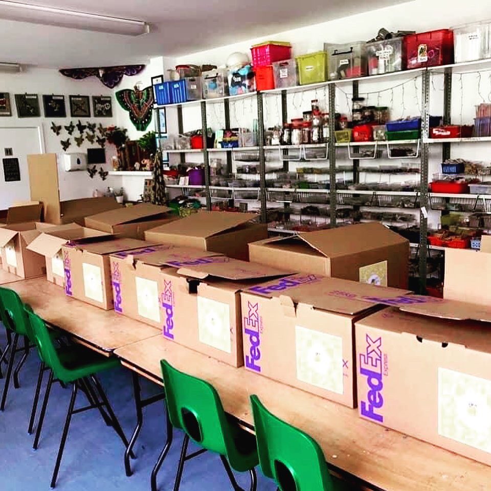 Art4Space's tweet photo. THANK YOU everyone who has donated so far to our appeal! It's made it possible to start sending our 'Art in a Box' to the vulnerable in different communities. Still 11 days to donate💛 Every donation is much appreciated and goes so far! @MayorLBLambeth 🙌 https://t.co/ilGQqhXgXb https://t.co/JfXIIKtDQb