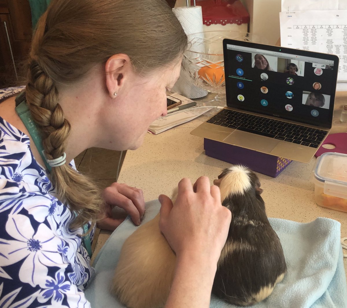 SPFJuniorSchool's tweet photo. Special guests joining 4Alpha’s lesson today as part of our Zootropolis theme. @SPFSchools #caringforpets #CutenessOverload https://t.co/6r9D1ARuMq
