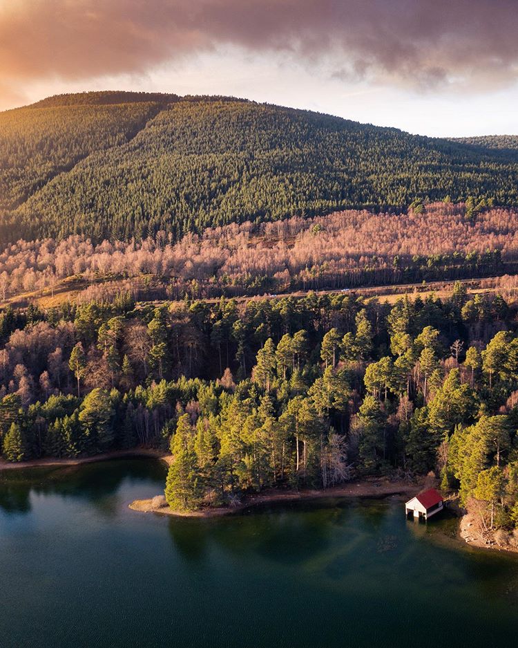 VisitScotland tweet media