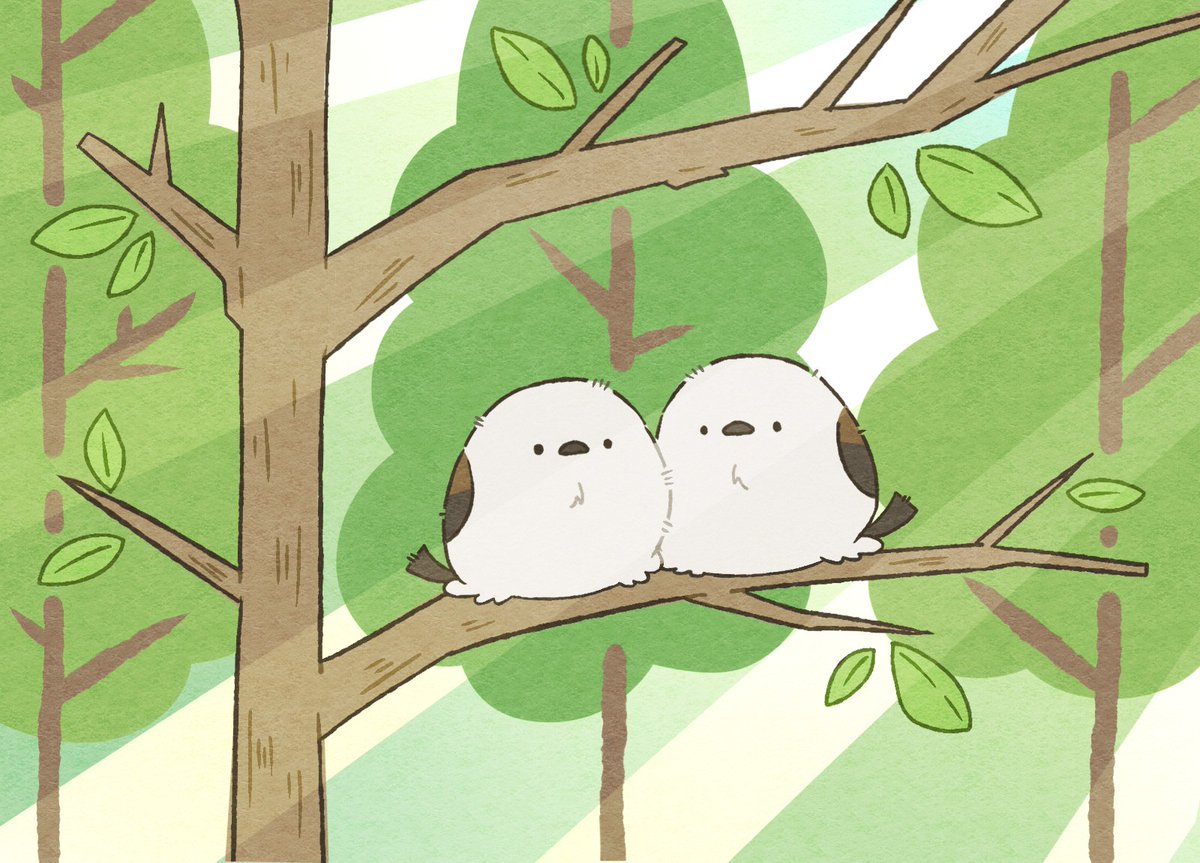 小鳥遊 日目 もりのひ 毎日とりさん イラスト 鳥 シマエナガ 森林の日 T Co 6zjthvw1bz Twitter