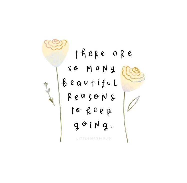 sciapX's tweet image. 