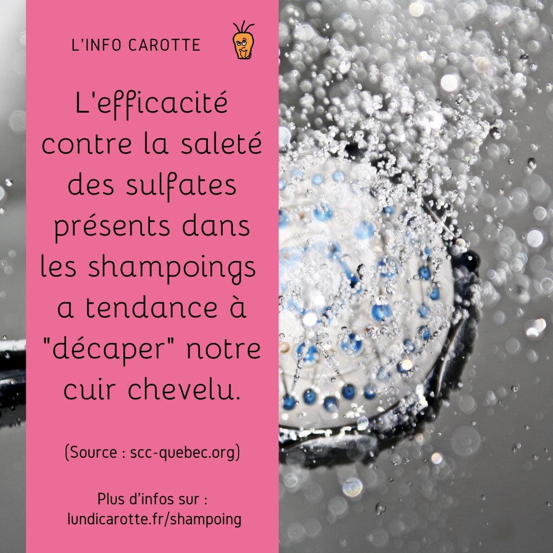 lundicarotte's tweet image. 🌱Pendant le confinement, nous avons beaucoup entendu parler des bienfaits pour nos #cheveux des #cures de #sébum. Pour ceux qui, comme nous il y a quatre semaines, ne savent pas ce que c'est, notre nouvelle plume Marianne explique tout ça dans le dernier LundiCarotte.fr/shampoing