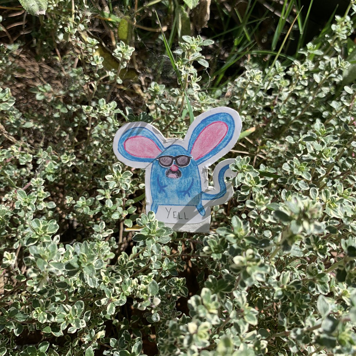 Lauranicus's tweet photo. Literal picture of me, venturing out into today’s glorious sunshine 🕶
☀️
These Tutter the Mouse stickers are available on my Etsy - link in Bio!
#bearinthebigbluehouse #tutterthemouse #stickers #shades #90skid #kidcore https://t.co/Jk8Y6NTinr