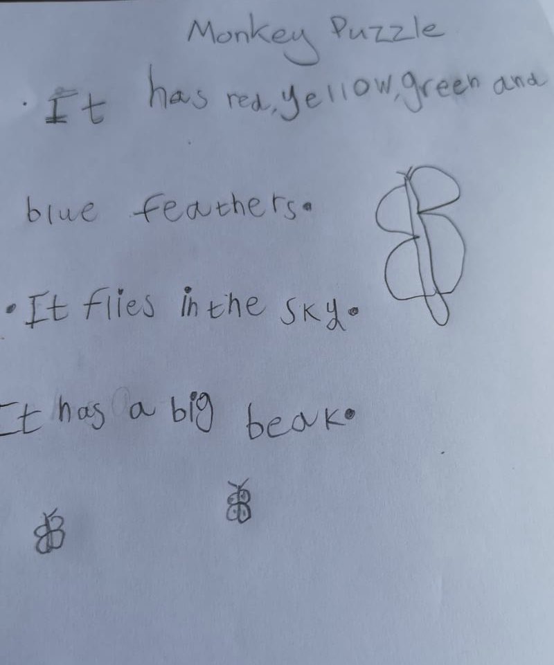 NicolaABurrows's tweet photo. Ellie has been describing animals from the Monkey Puzzle to help the butterfly out 🦋 @CedarsParkPri #woodpeckers https://t.co/07RjtbtxXt