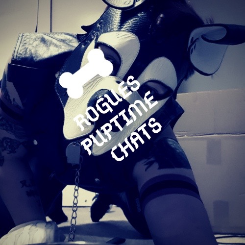 PuptimeChat's tweet photo. And Here We Go! Next instalment of Puptime Chats! 
Go Check it out! 

Thank you so much @PuppScruff for taking the time to do this for me! 

https://t.co/gwPh63NRxn

#PuptimeChats #FemalePuppy #PuppyPlay https://t.co/YDsxsebptj