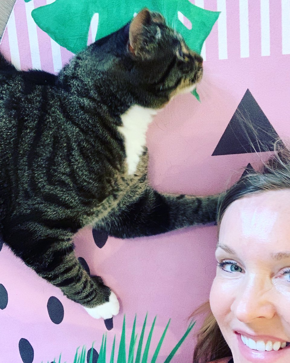 AmyPeaceFitness's tweet photo. Shenanigans with my workout partner before class!
#coopertcat
.
.
#amypeacefitness #verobeach #wednesdaymorning #motivation #morefunwithfriends #Caturday https://t.co/k9ysutCpFa