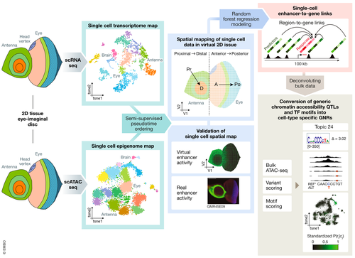 Mol Syst Biol tweet media