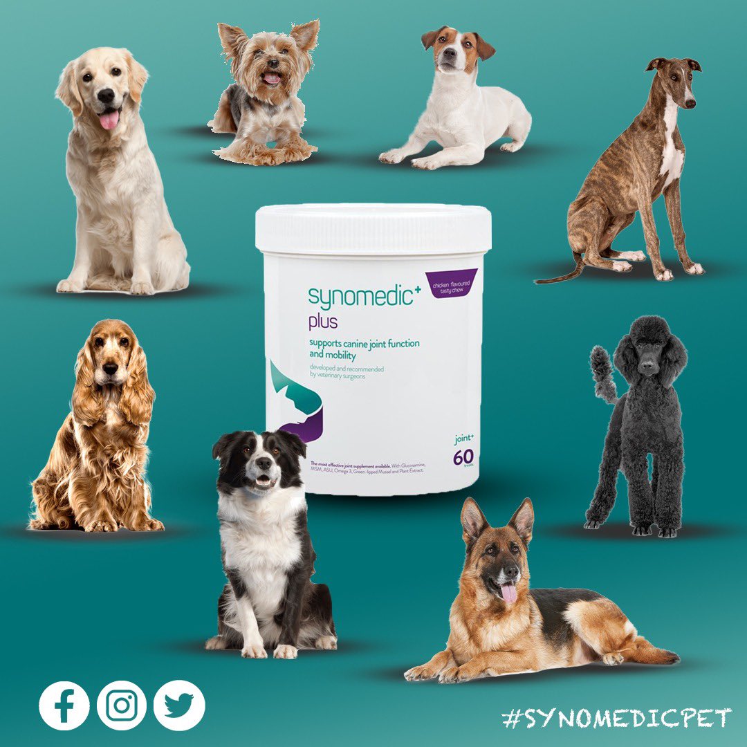 Regardless of breed, they all want the same thing 😍😋 🐕 #SynomedicPlus #SynomedicPet #EQMedic #Dog #Pet