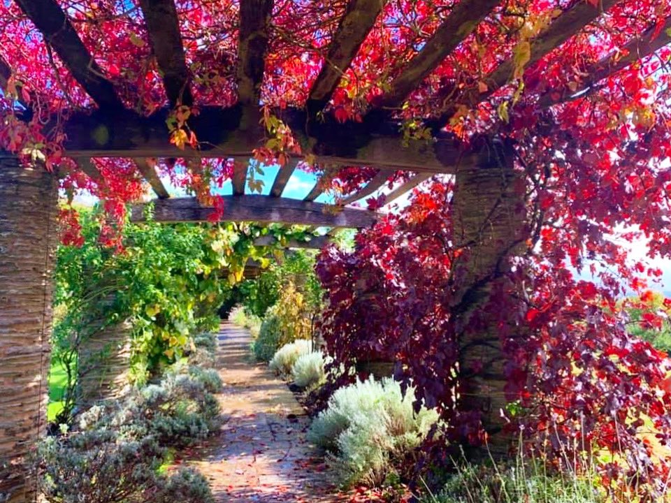 Retweet &amp; share this to add some colour into your news feed! I can’t wait to be back photographing this delight once normality has set back in. #floral #botanical #garden #gardening