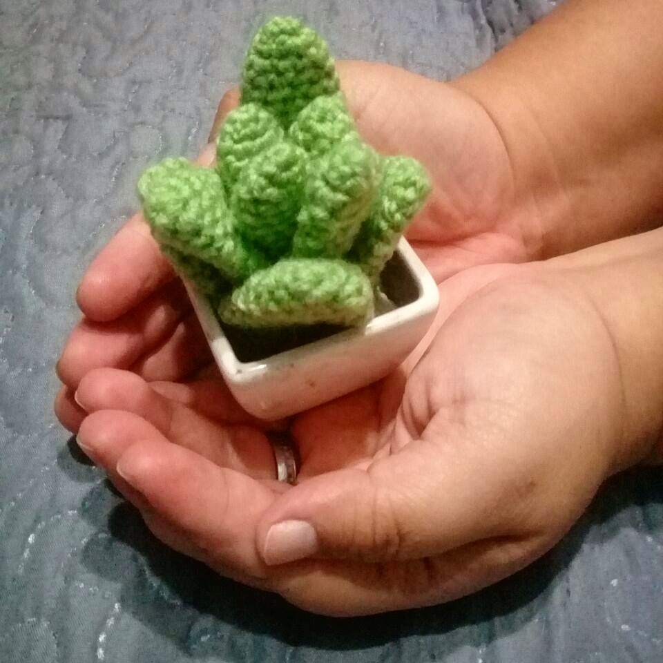 vanetejeyteje's tweet photo. Algunos amigurumis que he tejido... Si quieres cotizar alguno, escríbeme por DM o al 69567685 💮 #vanetejeyteje #lostejidosdevane https://t.co/IqnYSDc4X0