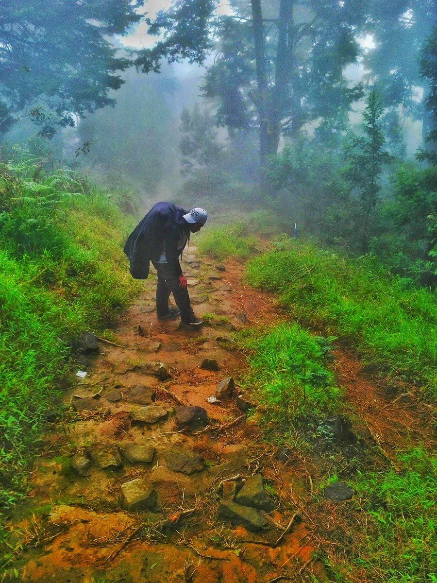 Almakrufzainal's tweet photo. Kutunggu kau di jalan ini menuju puncak     masih menunggu mu
Dengan beban di pundak 

#jalur #puncak #jalanjalan #pendaki #kenangan #dekil #tascarier #beban #alamindonesia #indonesiaindah https://t.co/uOyL43QsIx