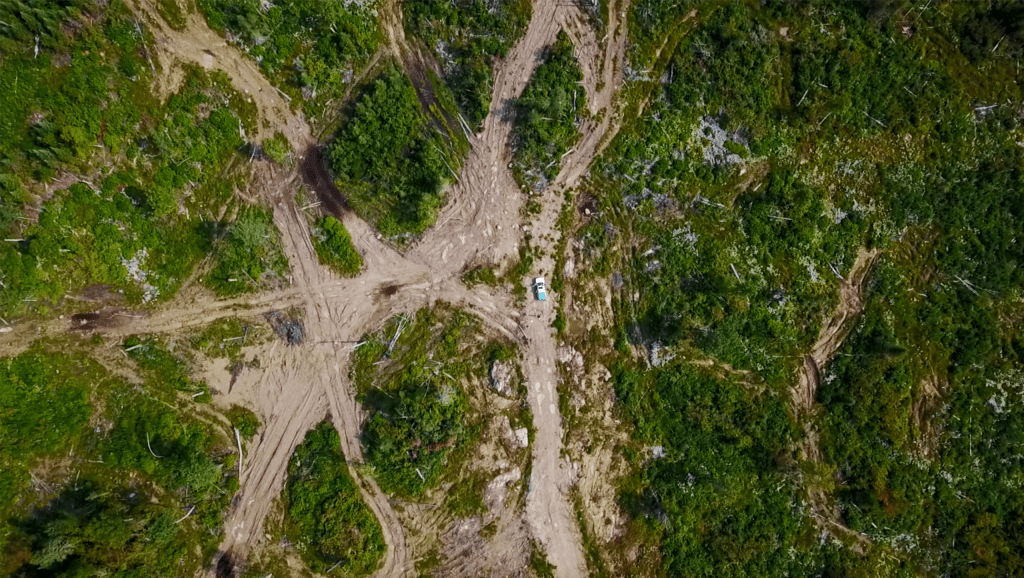 Canopyplanet's tweet photo. 80 percent of Canada's natural areas lack formal protection. Let's change that: https://t.co/4fE9JSZ6XI
Protect people and the planet.
#ActOnClimate #Forests #Nature #cdnpoli #JustRecover https://t.co/H3dncQG4mY