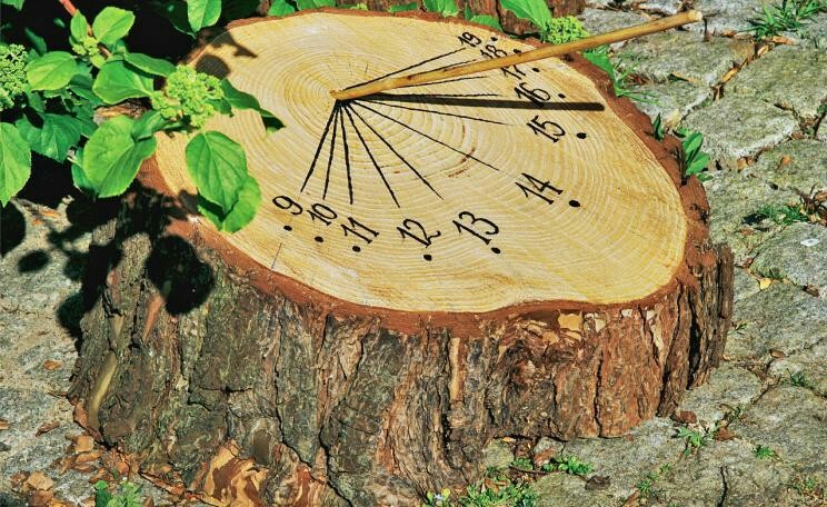 Permaculture Principle: Integrate rather than segregate. Praxis thrives when groups integrate and put energy into this project. Volunteers, mentors, coordinators and members all benefit from each other when connection and collaboration are core values. ow.ly/jrzb30quLqZ