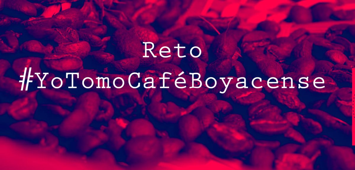 Cafe_Candelas's tweet photo. En Cuarentena en casa #yotomocaféboyacence, y usted??
Una deliciosa taza de café boyacense los reto a  tomar #cafeboyacense #SoyBoyacá #BoyacaExporta ☕☕☕☕☕☕☕☕☕ https://t.co/4gWsYTyIVT