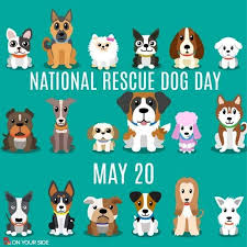 PoincianaCCPS's tweet photo. Join us for today's edition of WPES Action News and celebrate National Rescue Dog Day! #ItOnlyTakesASpark #PelicansLearningAtHome @collierschools
Please click link below:
https://t.co/Z41ucH2y3G https://t.co/KDM1a2cYFc