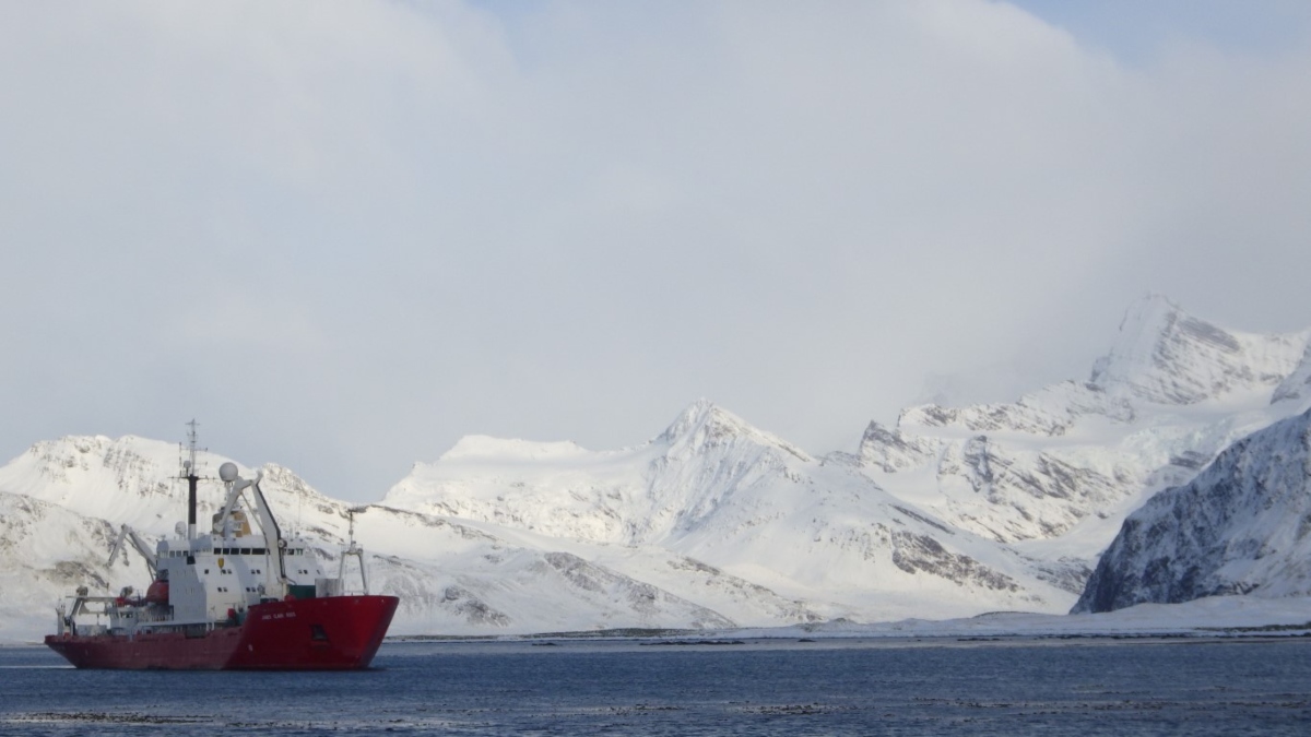 What a way to celebrating Shackleton Day the new wharf at King Edward Point Research Station on sub-Antarctic Island of South Georgia is complete. It’ll enable the new #Polarship #RRSSirDavidAttenborough to berth. Congrats to all. bit.ly/36guxRM #KEPWharf #SGSSIScience