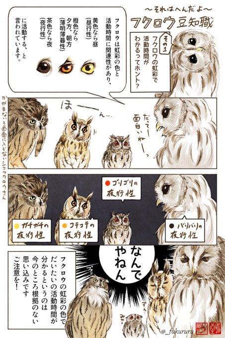 フクロウイラストのtwitterイラスト検索結果